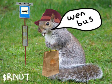 Blue_Zebraaa's tweet photo. Alpha of today is $RNUT the Retarded PNUT -  Peanut’s clumsy cousin, the "retarded" squirrel who escaped euthanasia by pure accident 🤪.          

Super early and huge upside !          

TG: https://t.co/0gq2drfeqo      
Twitter: https://t.co/ejWZj2afbc     

CA: A3CQMsS21KmvrGXKqKvjYreVMxXBmSkPZ1tZQTB1pump
