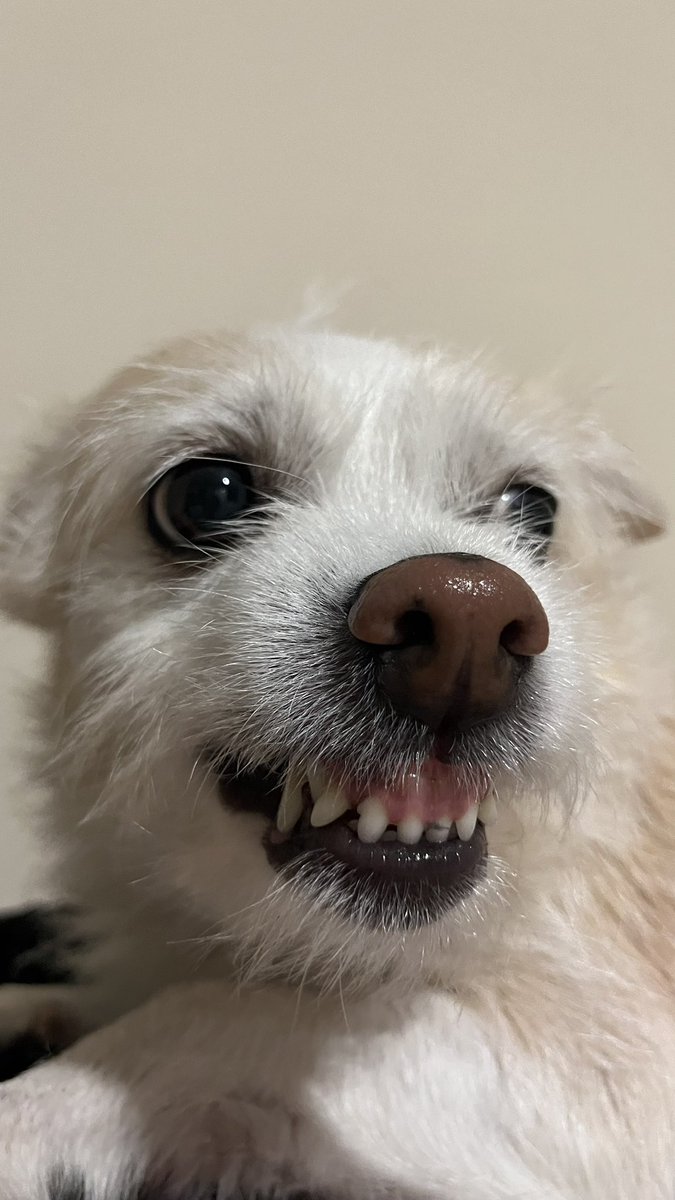 yaziklarimolsun disinde bisi kalmis hic uyarmadimiz