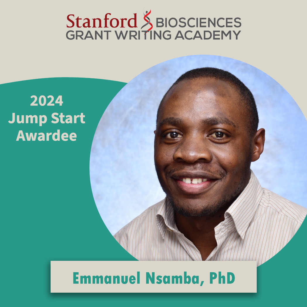Stanford Grant Writing Academy (@sugrantwriting) on Twitter photo Dr. Emmanuel Nsamba is a #StanfordPrism Postdoctoral Scholar in <a href="/DevBioStanford/">Dev Bio @ Stanford</a>. Dr. Nsamba conducts research investigating microtubule-based mechanisms that are critical for faithful chromosome segregation during meiosis. Dr. Emmanuel Nsamba is a #StanfordPrism Postdoctoral Scholar in <a href="/DevBioStanford/">Dev Bio @ Stanford</a>. Dr. Nsamba conducts research investigating microtubule-based mechanisms that are critical for faithful chromosome segregation during meiosis.