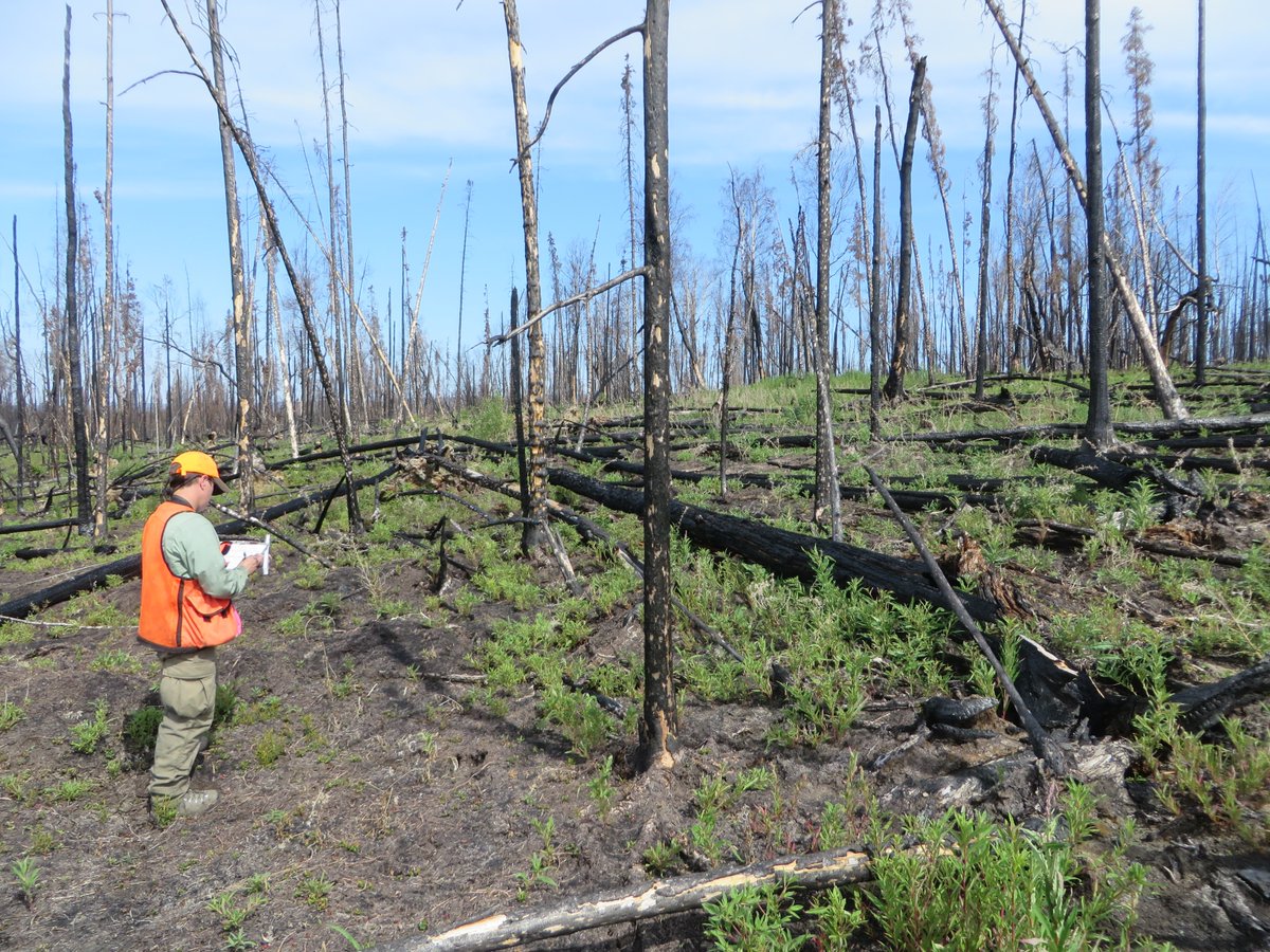 DOIWildlandFire's tweet image. #FireScience is crucial to wildland fire management. The @USGS is collaborating w fire management staff across @Interior to develop structured science syntheses on high priority topics that meet the needs of wildland fire managers.

usgs.gov/centers/fort-c… 

#UnleashTheScience