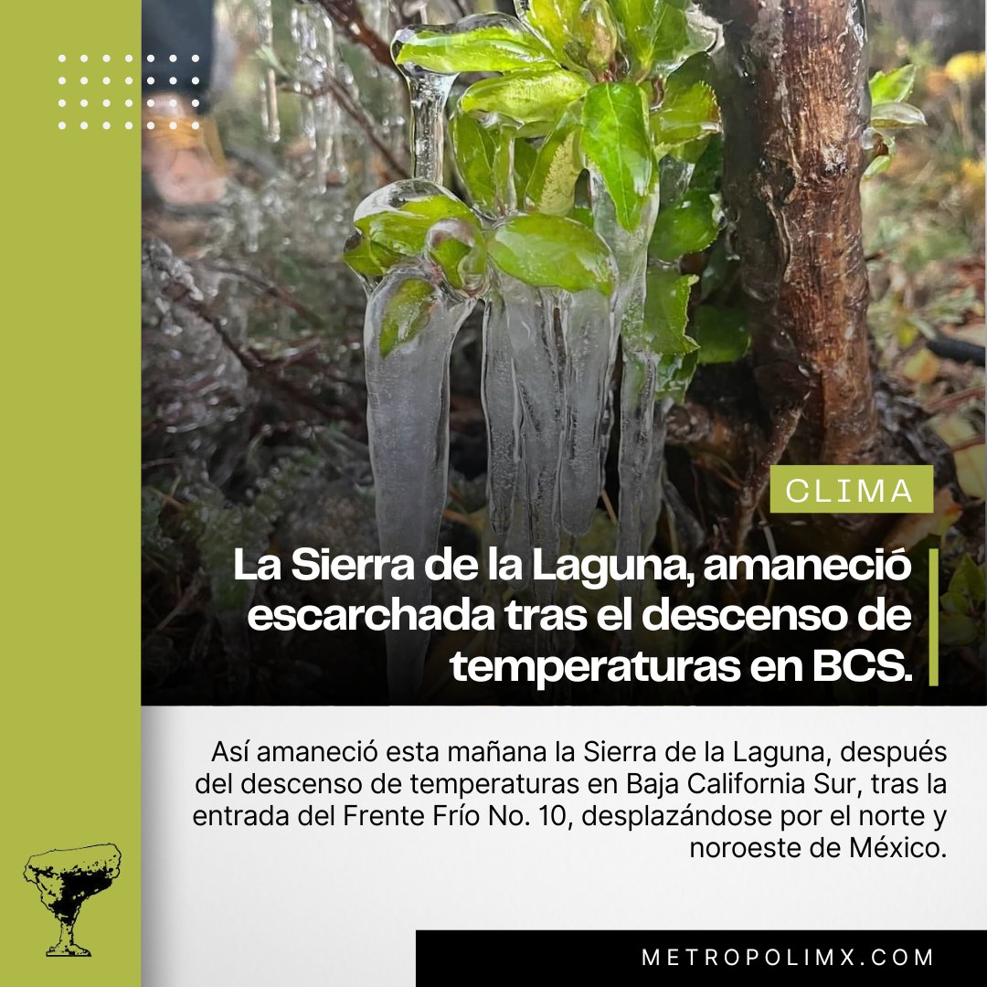 metropolimxbcs's tweet photo. #Clima: La masa de aire frío asociada al nuevo frente, provocará un ambiente gélido en el día y en la noche y heladas al amanecer en zonas altas del norte y noroeste del país, pronosticándose en zonas como la Sierra de la Laguna, temperaturas de -0 y hasta -10 grados.
.
.
.
#FrenteFrio #SierraDeLaLaguna #BCS
