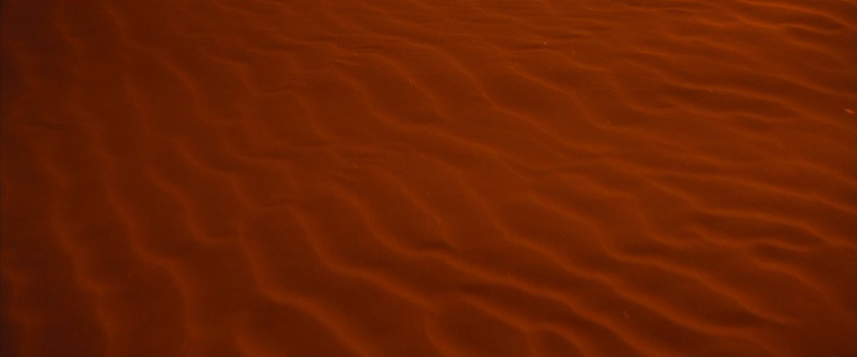 screenscaps's tweet image. dune: part two (2024) dir. denis villeneuve