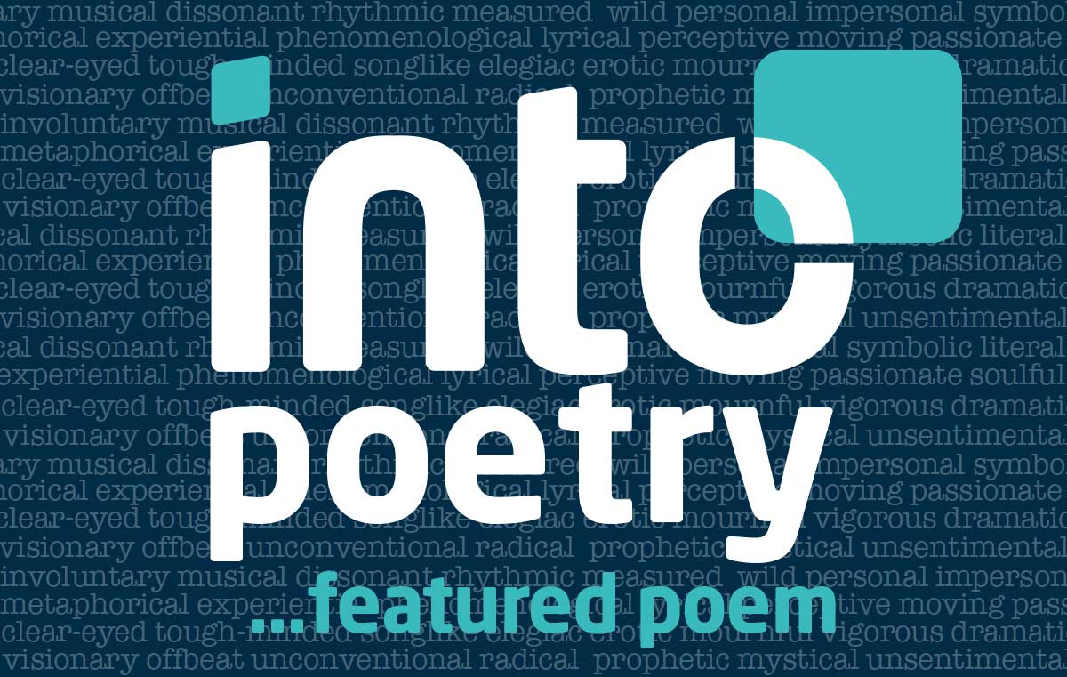 David Cameron (@dcameronpoet) on Twitter photo Into Poetry is back, with a tender comic poem by Sarah Collister on haircuts during COVID times.
intocreative.co.uk/sarah-colliste…
A reminder that we are open to poem submissions through November - send a handful of your best poems to poetry@intocreative.co.uk Into Poetry is back, with a tender comic poem by Sarah Collister on haircuts during COVID times.
intocreative.co.uk/sarah-colliste…
A reminder that we are open to poem submissions through November - send a handful of your best poems to poetry@intocreative.co.uk
