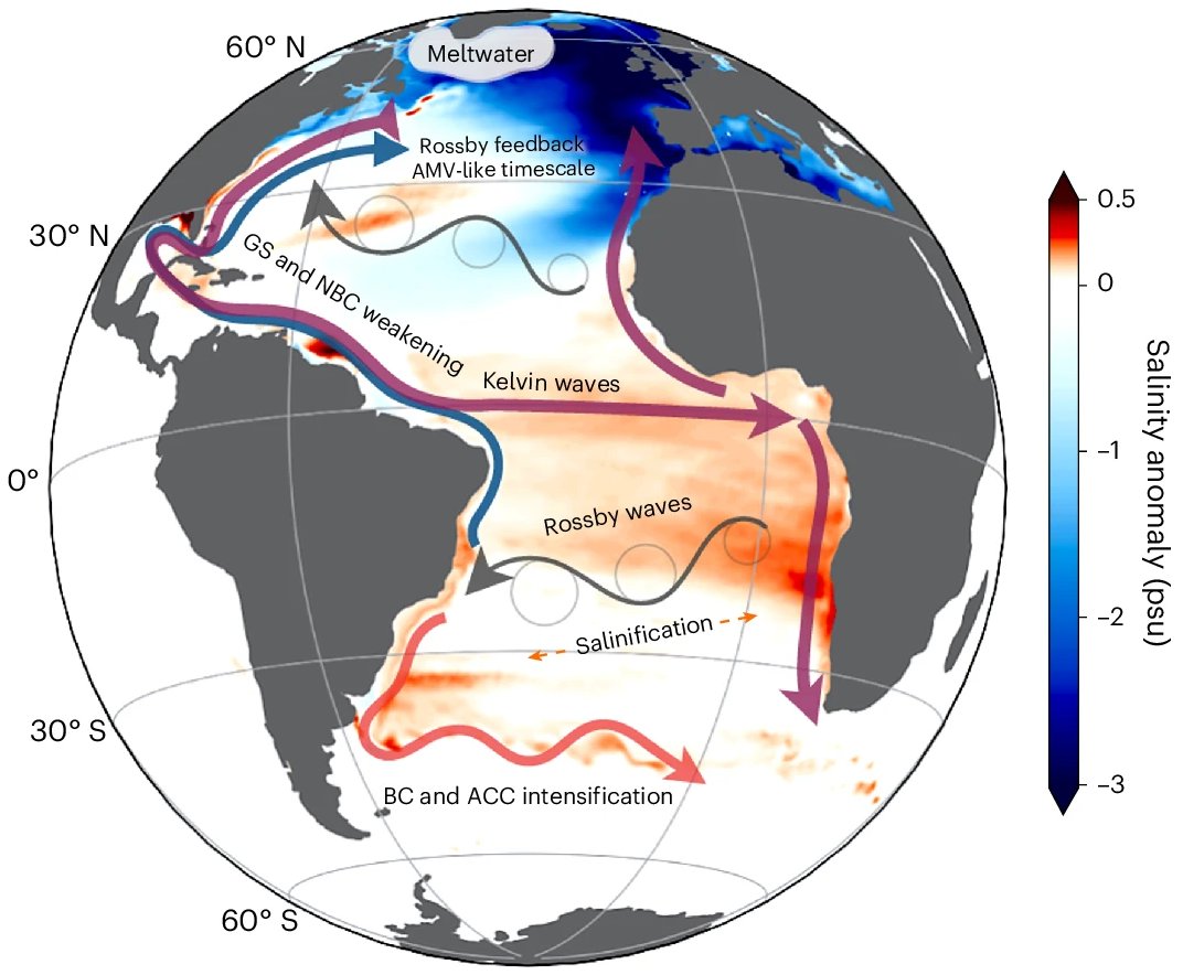 🚨 AMOC 📉
"the Atlantic Meridional Overturning Circulation .... could be 33% weaker than its anthropogenically unperturbed state under 2 °C of global warming, which could be reached over the coming decade"