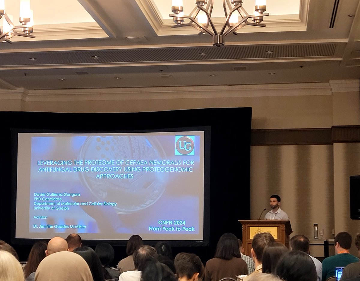 Davier Gutierrez-Gongora tweet media