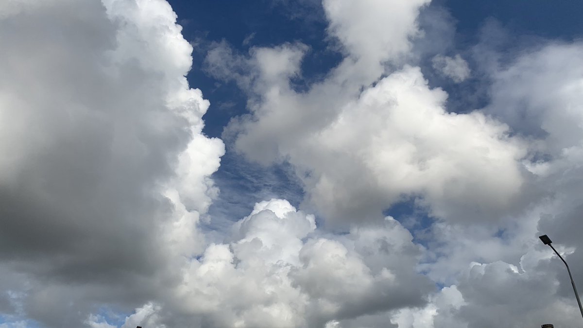 mdarwish3's tweet image. ماذا بعد