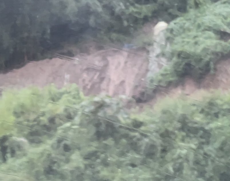 Maja Wallengren tweet media