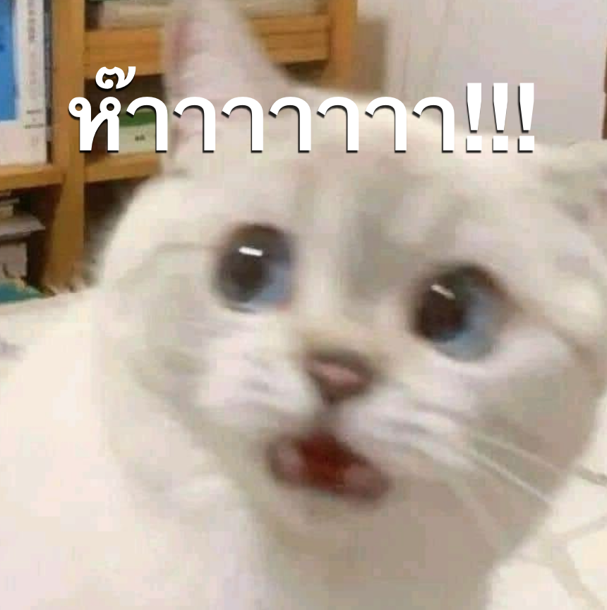HighSchoolGMMTV's tweet photo. ล่าสุดแอรี่ช็อกไปแล้ว ไม่คิดว่าอีฟจะเคยเห็นตัวเองในทีวีตอนเด็ก😂 #HighSchoolFrenemyEP11
@view_benyapa @junewanwimol19 https://t.co/C59zwtG1Ei