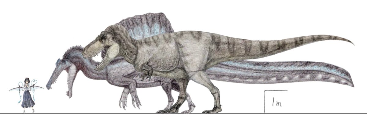 スピノサウルス ・エジプティアクス (MSNM V4047、全長約15m) vs