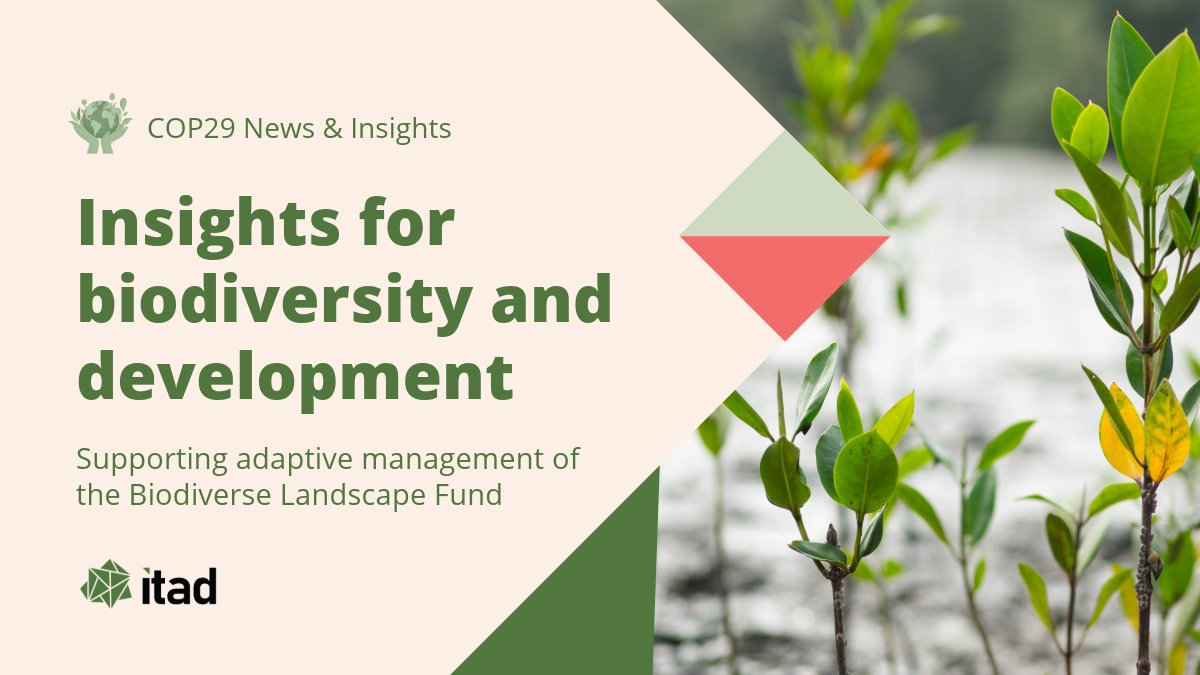Itad (@itadltd) on Twitter photo Biodiversity loss threatens the livelihoods of the world’s poorest communities.
Alongside <a href="/OPMglobal/">Oxford Policy Management</a>, we’re evaluating the UK government’s Biodiverse Landscapes Fund to support ecosystem restoration & development
🔍 bit.ly/4eGoqrE
#COP29 #Biodiversity #GlobalDev Biodiversity loss threatens the livelihoods of the world’s poorest communities.
Alongside <a href="/OPMglobal/">Oxford Policy Management</a>, we’re evaluating the UK government’s Biodiverse Landscapes Fund to support ecosystem restoration & development
🔍 bit.ly/4eGoqrE
#COP29 #Biodiversity #GlobalDev