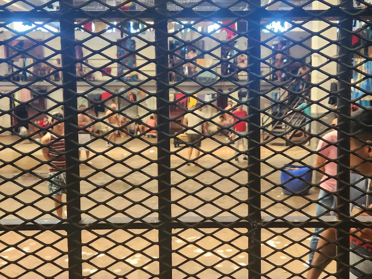 OficinaComisionadoP tweet media