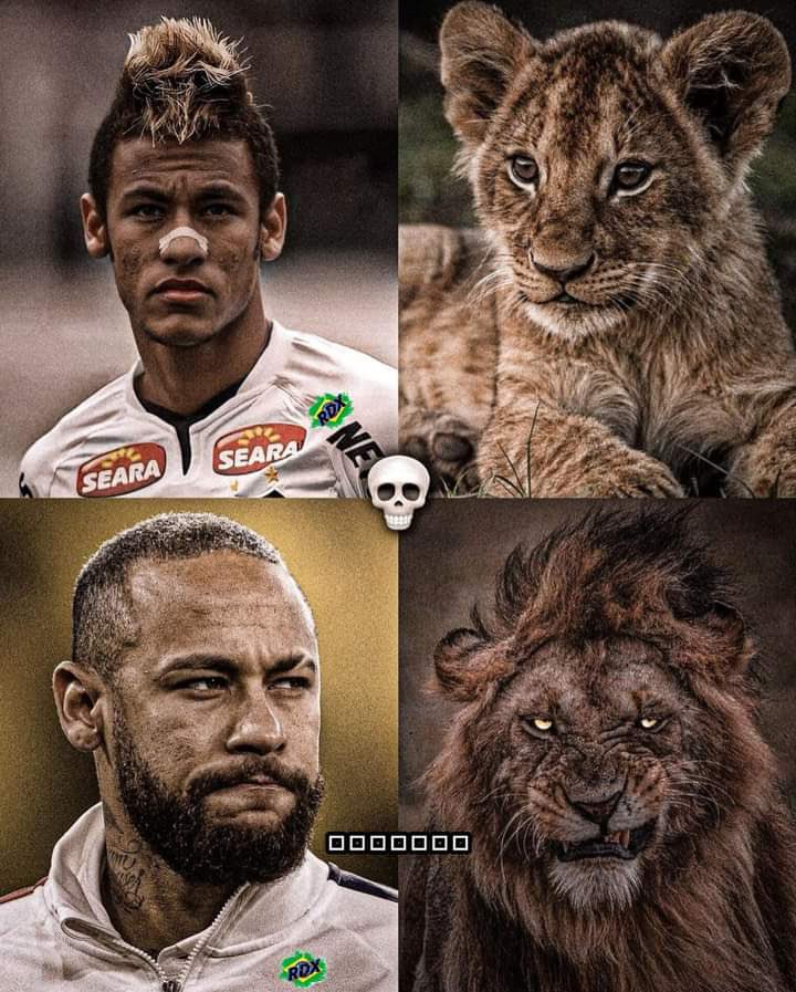 Neymarextra1's tweet photo. 🐐 https://t.co/l0xwUXN13z