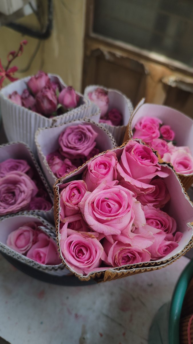 Poo_Kadai's tweet photo. The thing I cant choose over you.
#FLOWER_GARDEN #flowerbite #Flowers #FlowersOfX #FlowersOnX #FlowersForKrista #tweets #x #Trending https://t.co/CwitgLXcnO