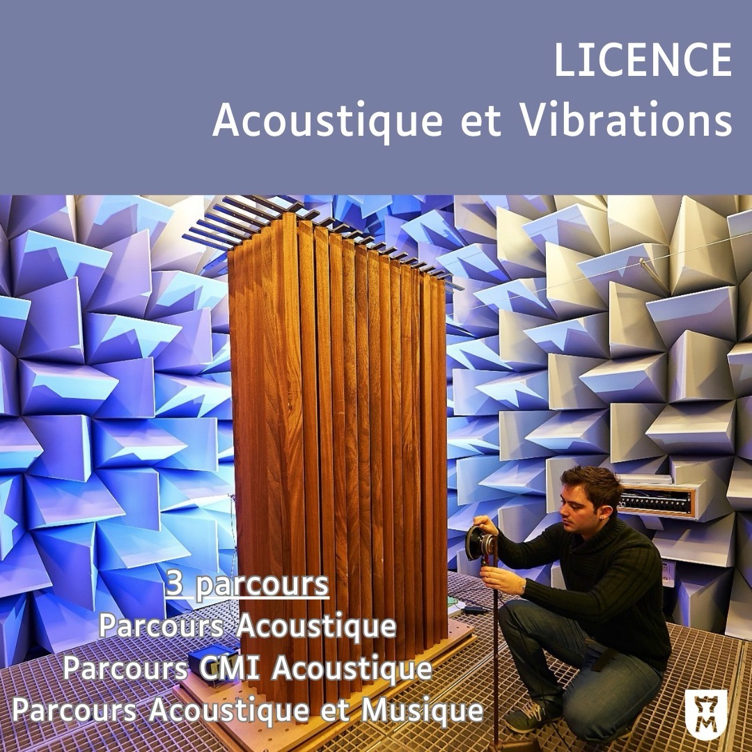 Licence acoustique, formation scientifique et technique unique en France, avec de nombreux débouchés : bureaux d'étude, PME, industrie ou centres de recherche en tant que technicien expert, ingénieur expert, ingénieur en recherche et développement, chercheur, etc