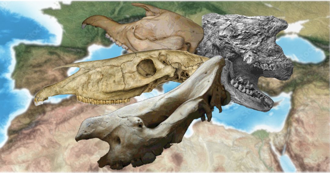 Christophe Mallet tweet media