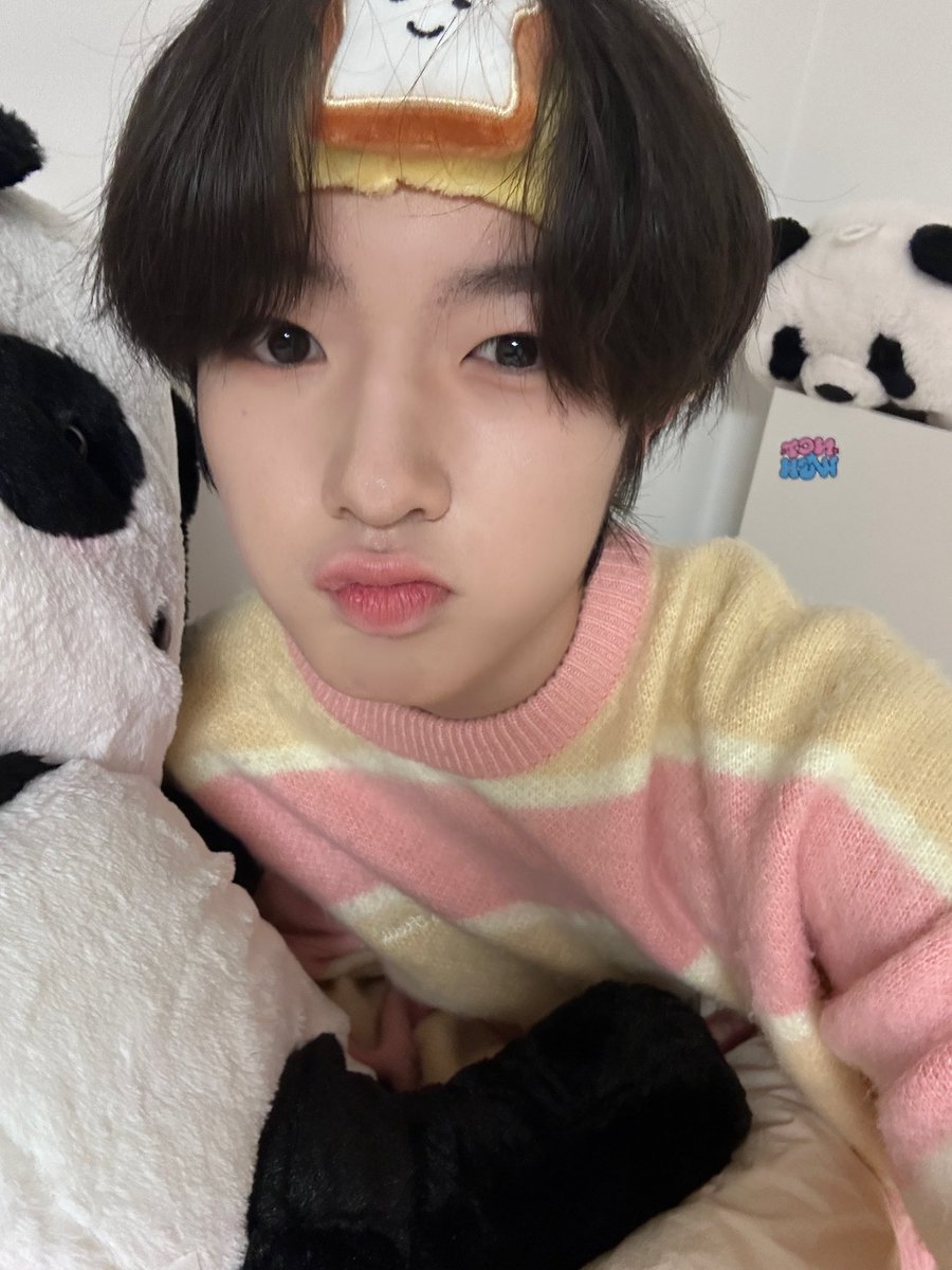 Wish10ve's tweet photo. 아니 헤어밴드도 빵이고 옆에 인형은 다 판다야
진짜 nice 하네 https://t.co/pjR0hopufQ