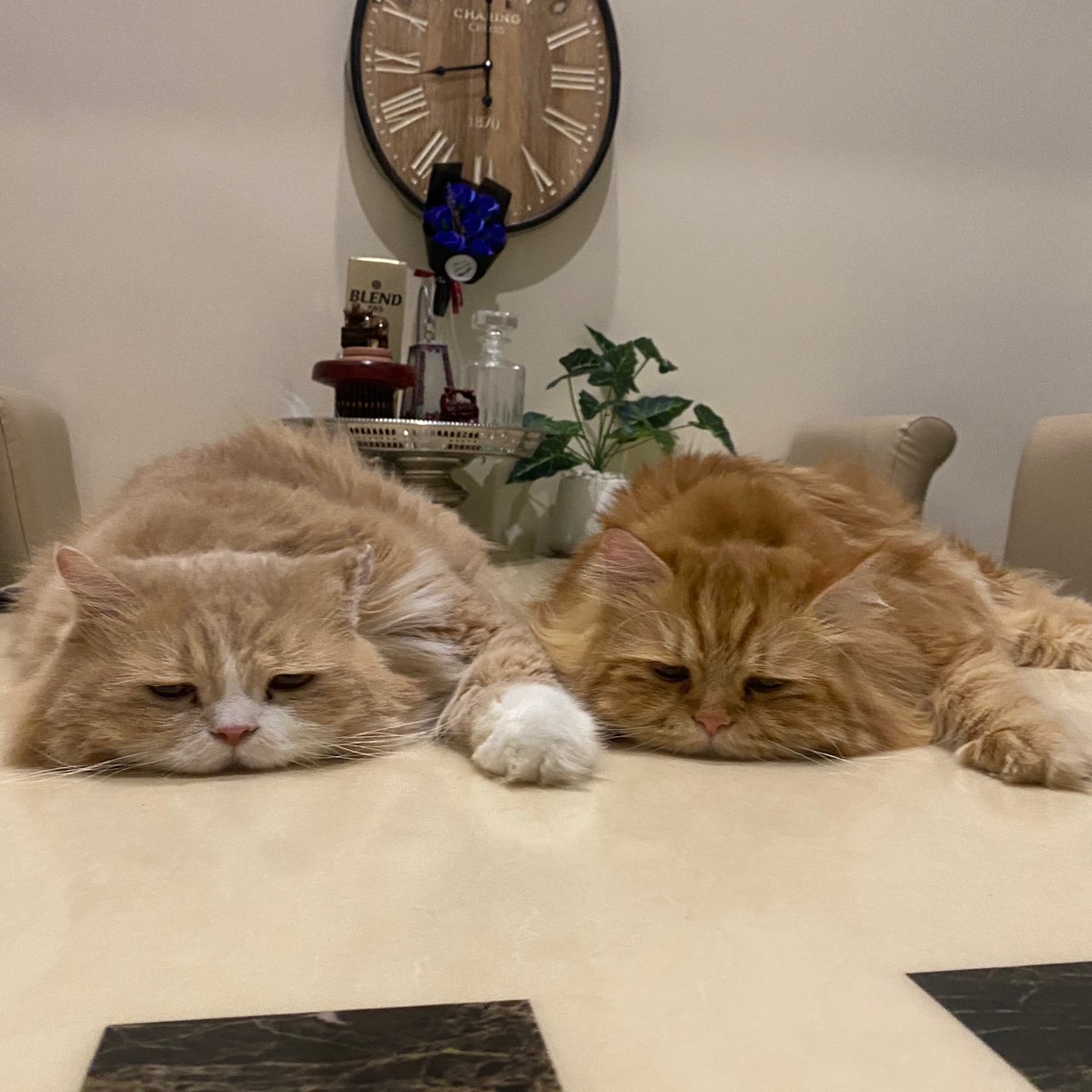 twobam's tweet photo. ท้อแท้ คูณ2 https://t.co/nOe7FTLcJm