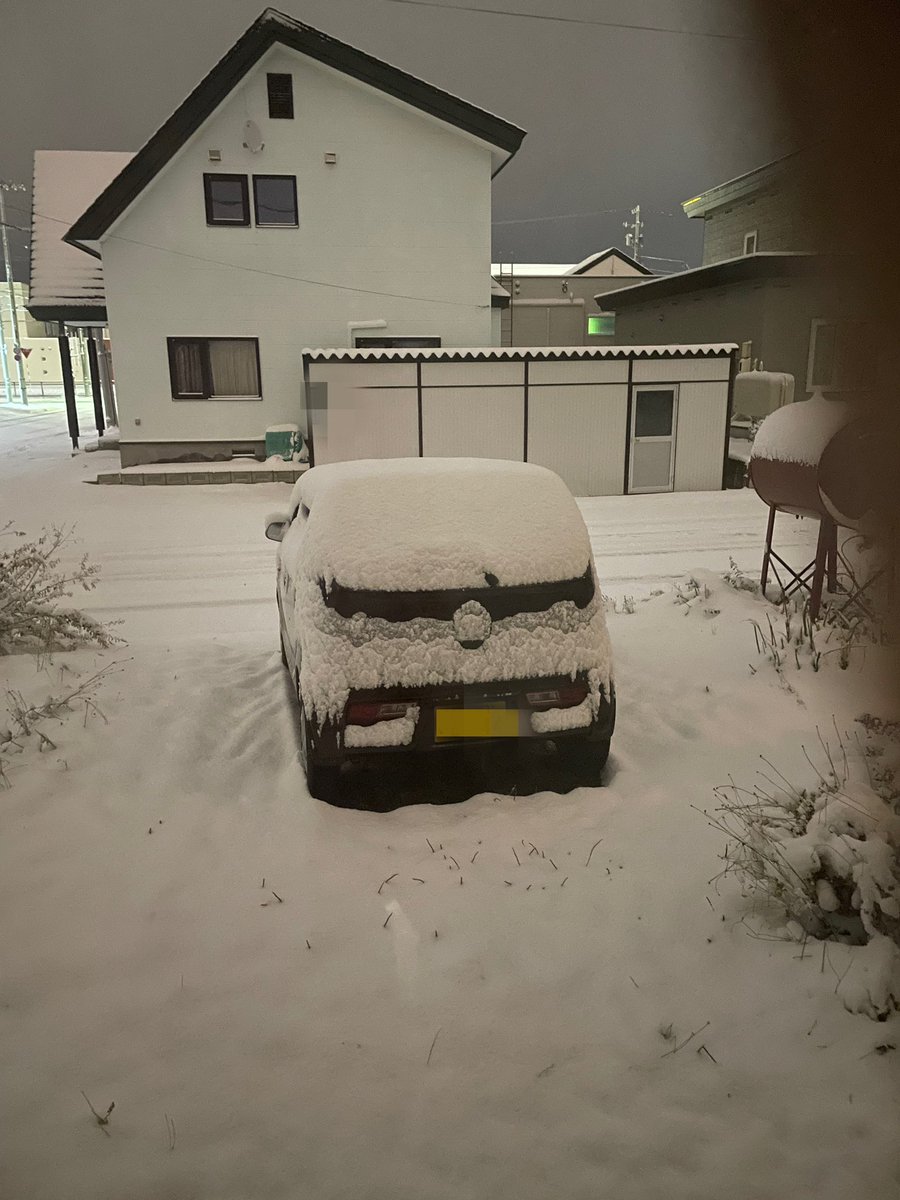 雪積もった*❄️·̩͙