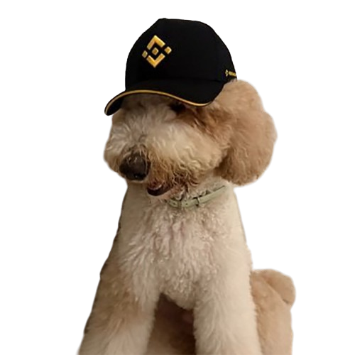 184kurdi's tweet photo. @Cobratate @trader1sz the $fur-nancial advisor of @binance would never. https://t.co/3yGFwidAHl