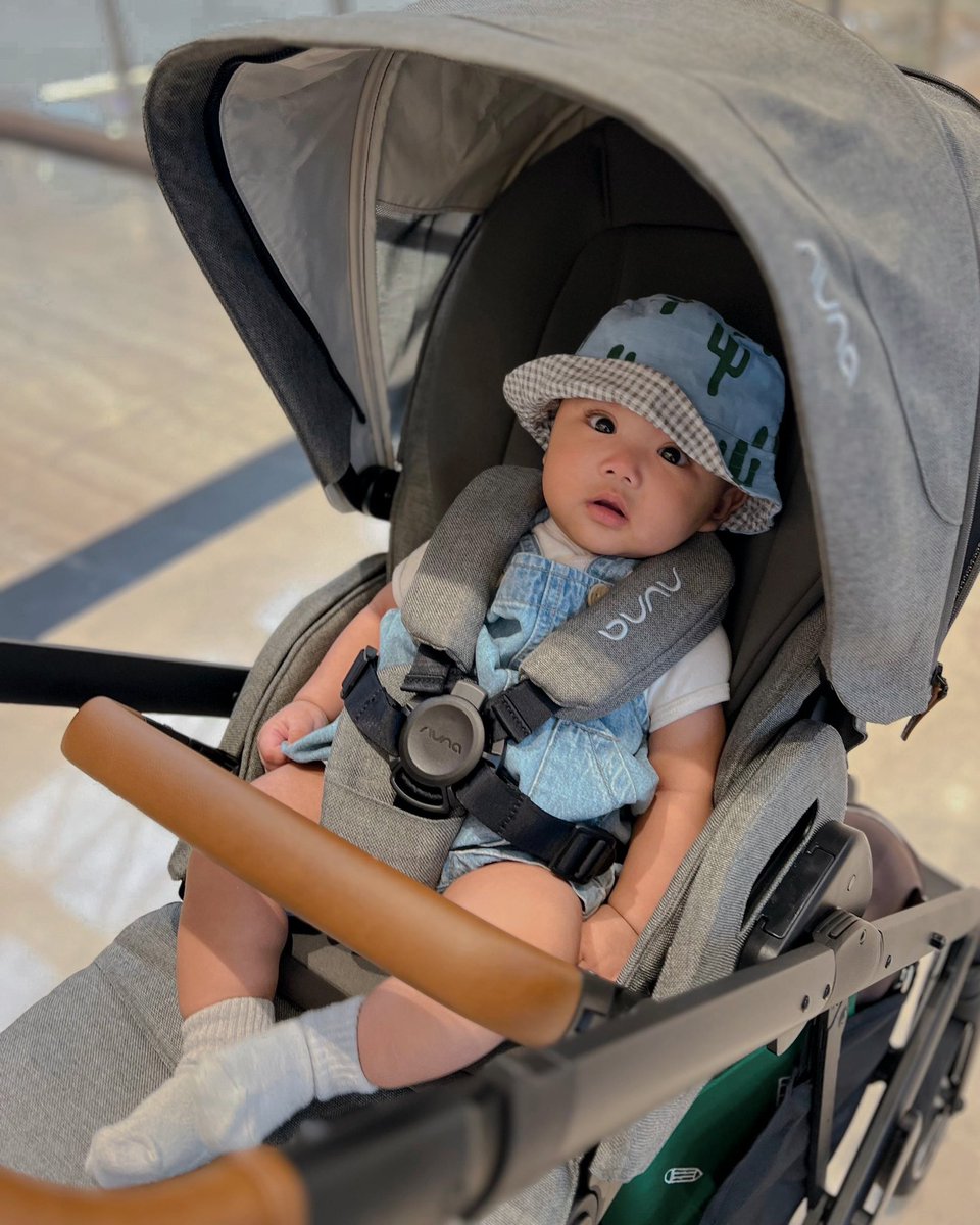 켈레일린 🍄 tweet media