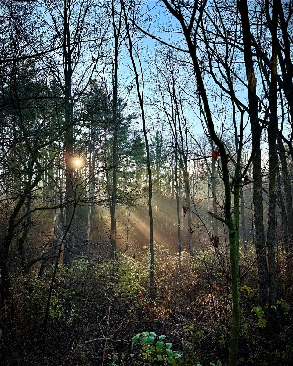 Robert McLeman (@rmcleman) on Twitter photo Going to move over to blue sky for a while, you can find me there, same handle. Going to move over to blue sky for a while, you can find me there, same handle.