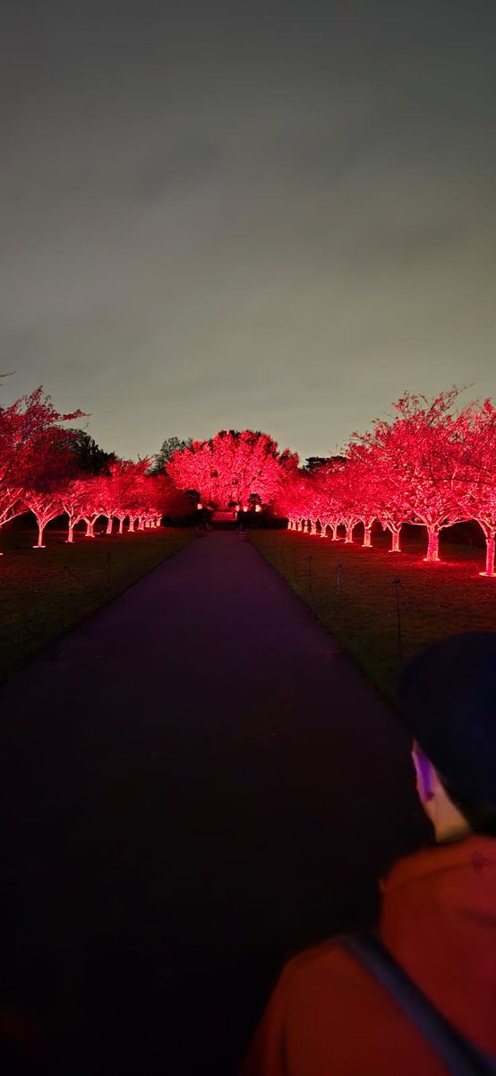 Robia_B's tweet photo. Magical and enchanting! https://t.co/ZfT5Umu7x8