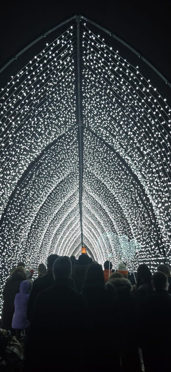 Magical and enchanting!