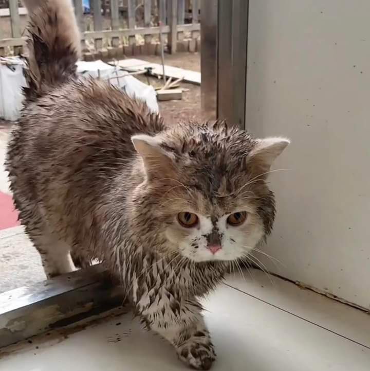 คุนนุระวังโคนนะคับ                                              ทัมมัยไม่บอดพุ่งนิ้เรยล้า