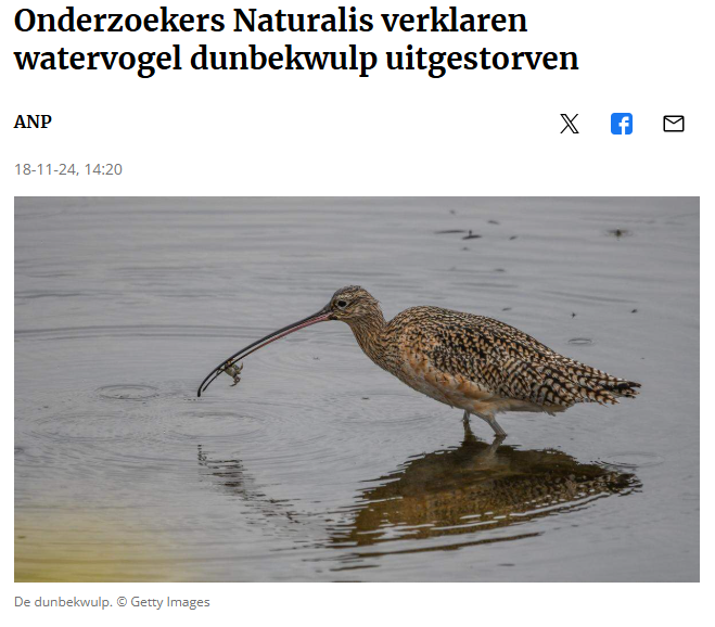 Bart Braun tweet media