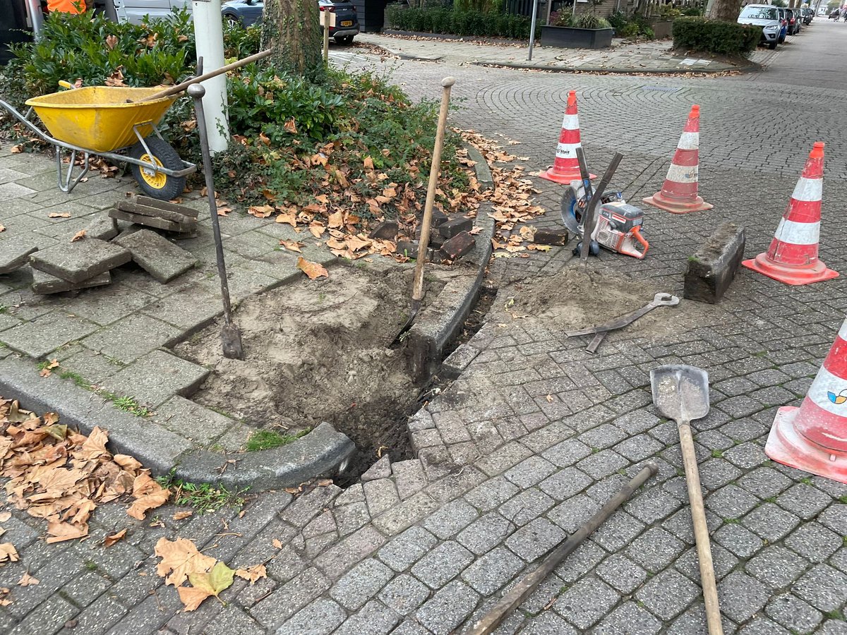 MichielFerwerda's tweet photo. Op verzoek van @PGWestland heeft onze #wijkmanager via onze #buitendienst dit trottoir in Poeldijk rolstoelvriendelijk ingericht. π
#westland #wldebat https://t.co/XYWM1eqtKA