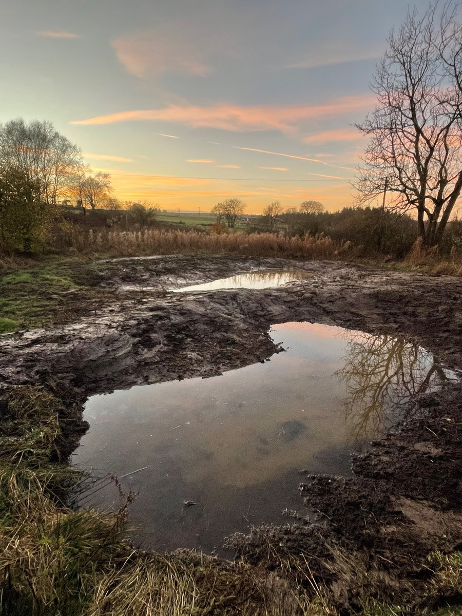 This beautiful photo taken by our @nidderdalenl #wetlandcreation project officer shows two of three ponds restored on a small nature reserve. They will greatly add to the biodiversity value of this mixed habitat site.  Photo (c) Christy Irish.