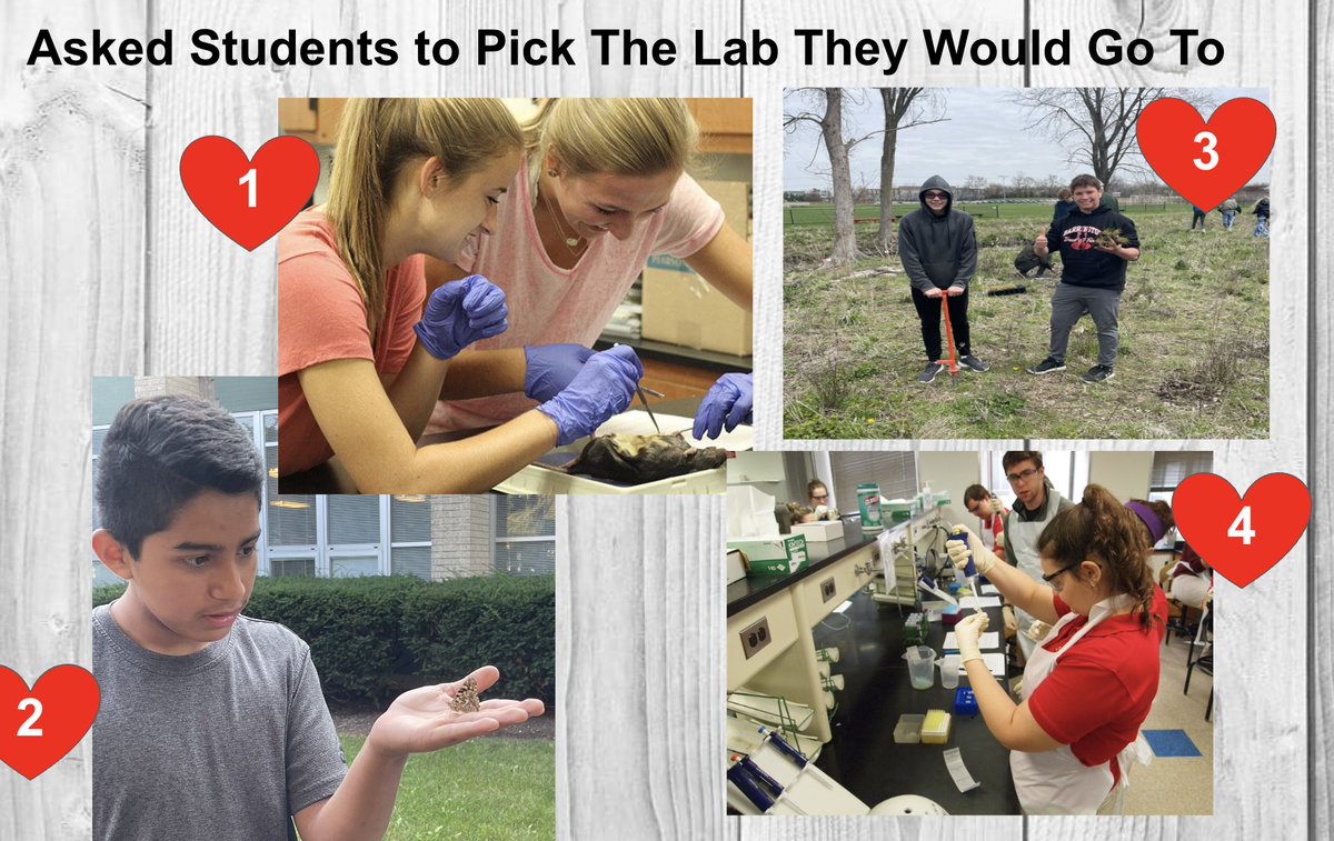 Today we have some of our #BHSSciEng👩‍🔬Ts attending <a href="/NISE_US/">NISE</a>   to present and participate in professional development.  We can't wait!  Stop by room 167 at 1:30pm to hear a group of🧬biology🔎teachers 🗣️share🗣️ their experiences with this year's new course offerings! #NISE2024