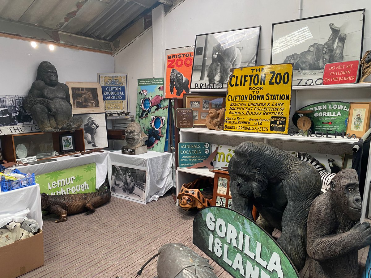 It's the last week of bidding for the Bristol Zoo Gardens auction! 🦍

The auction will be broadcast live online this Friday 22 November at 10am GMT for bidders all over the world to take part.

Join live on Friday with this link: auctioneum.co.uk/auction/detail…