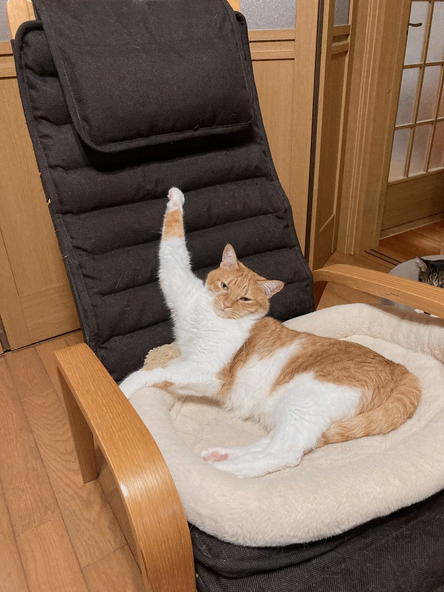 miso_edf's tweet photo. 引っかかっちゃったけど いぇ〜〜✊😴 https://t.co/VwS6fqavcq
