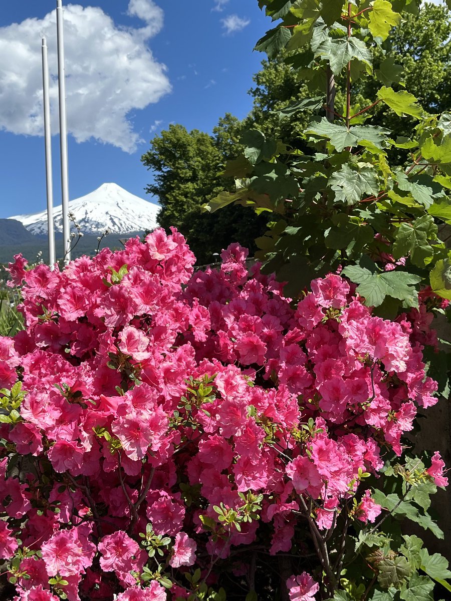 Cecilia Metzger tweet media