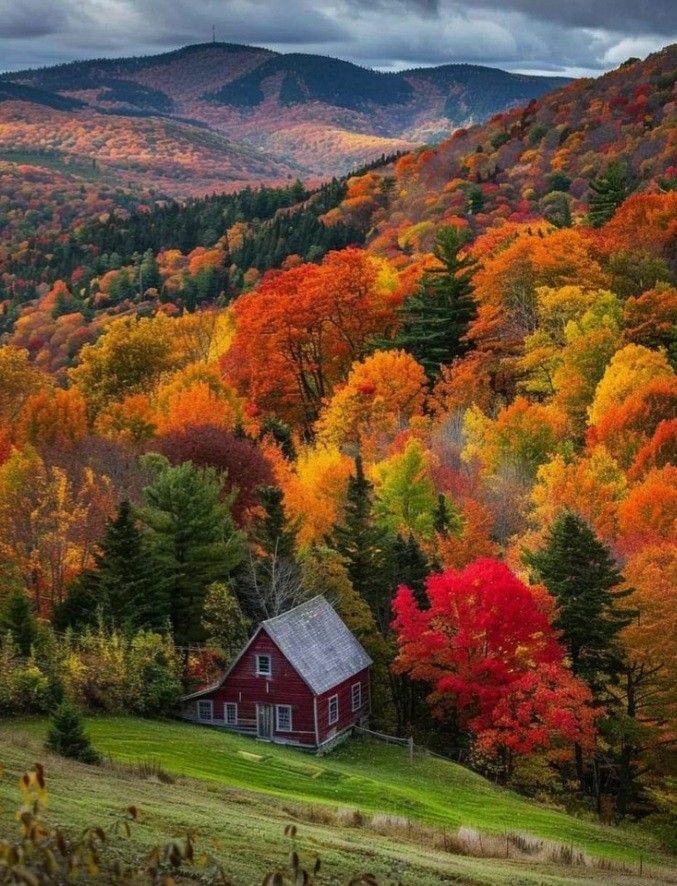 Telmaa1996's tweet image. My friend, do not lose hope

Sadness, anxiety, despair, feeling of weakness, emptiness, loss, misery and darkening of the world always come to a person when he has lost his value and hope for the future.
#Hope
#Selfknowledge