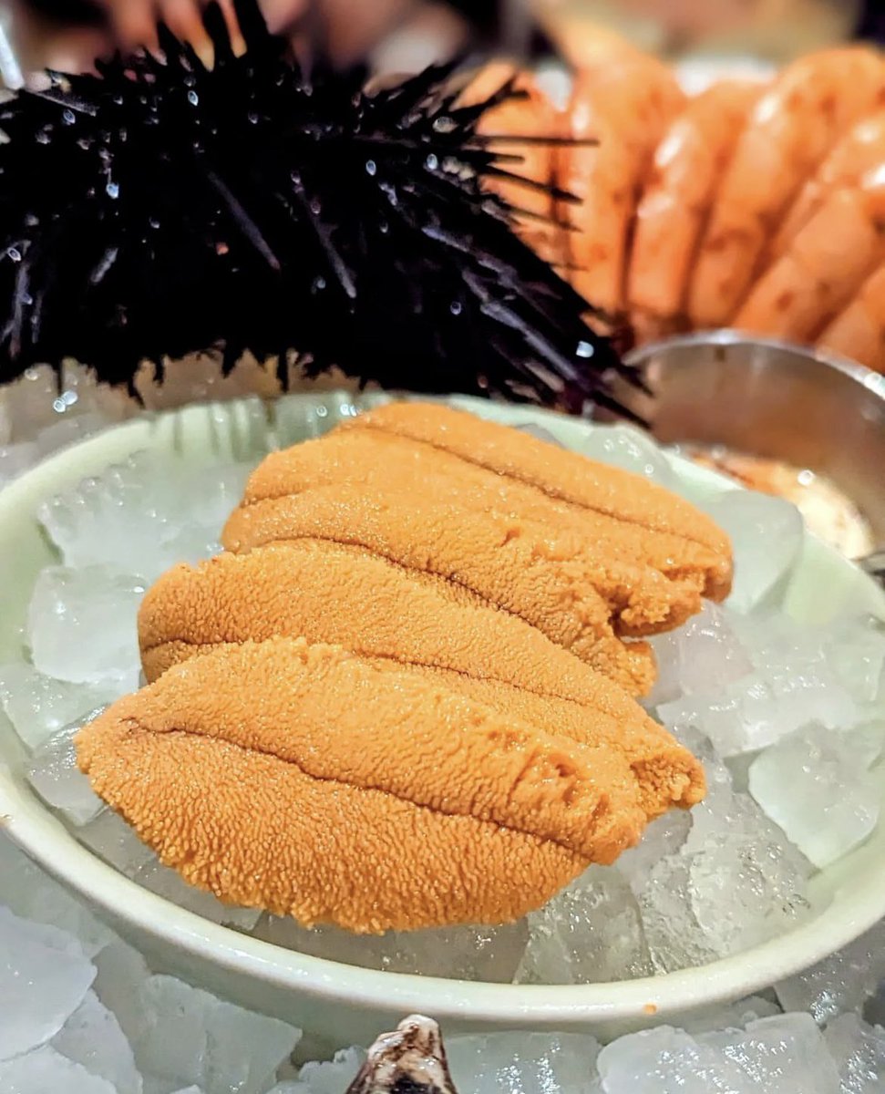 Sea Stephanie Fish tweet media