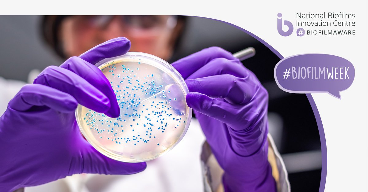 Chilled Food Association (@chilledfood) on Twitter photo Food safety's non-negotiable. The £14bn #ChilledFood sector deploys vast technical knowledge & resource delivering it.
Biofilms harbour food spoilage organisms & food pathogens. <a href="/ukbiofilms/">National Biofilms Innovation Centre (NBIC)</a> research aids understanding & detection & signposts ways to eliminate them. #BiofilmWeek Food safety's non-negotiable. The £14bn #ChilledFood sector deploys vast technical knowledge & resource delivering it.
Biofilms harbour food spoilage organisms & food pathogens. <a href="/ukbiofilms/">National Biofilms Innovation Centre (NBIC)</a> research aids understanding & detection & signposts ways to eliminate them. #BiofilmWeek