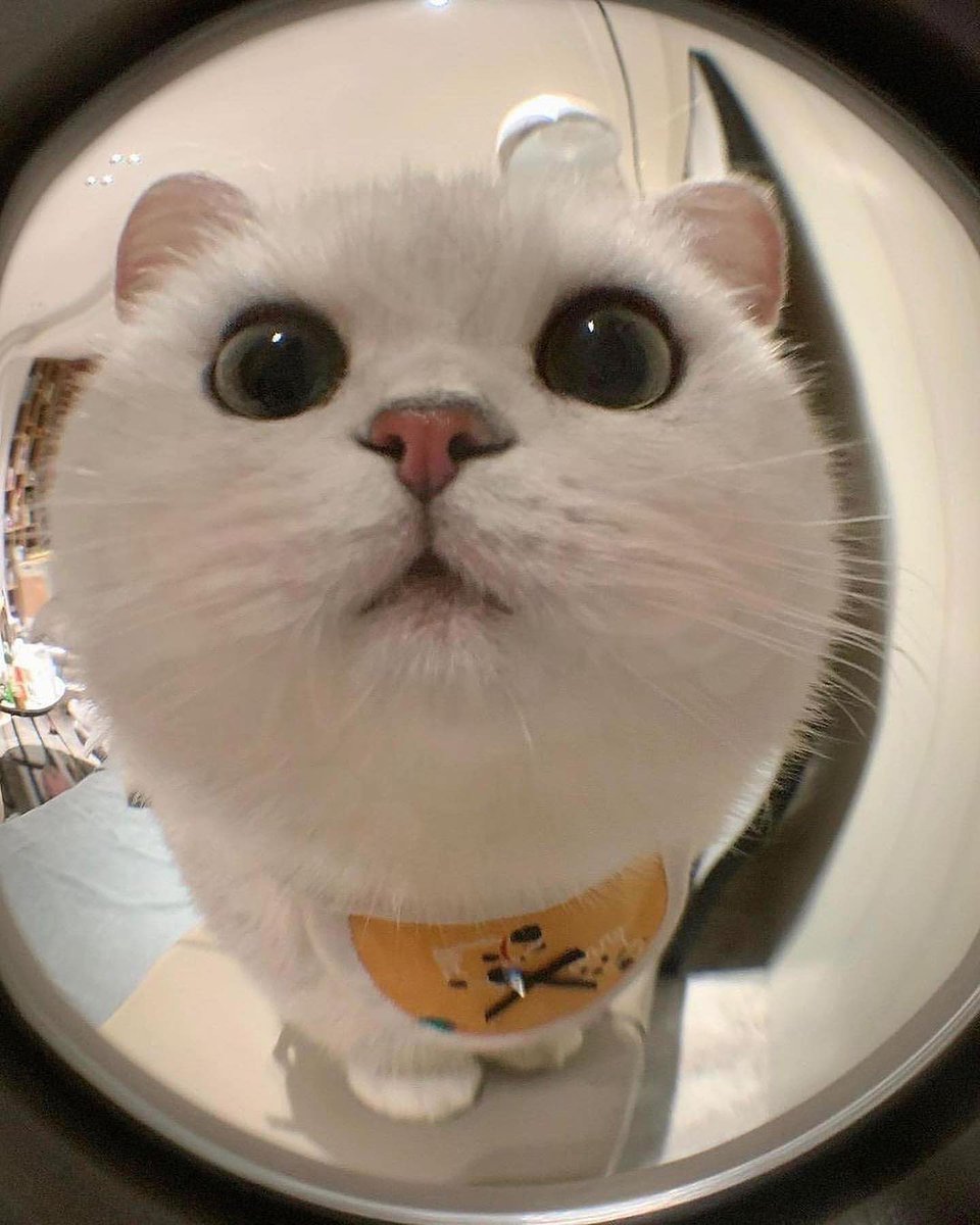 hamnyangham tweet picture