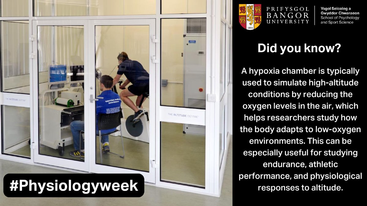 SportSciBangor tweet media