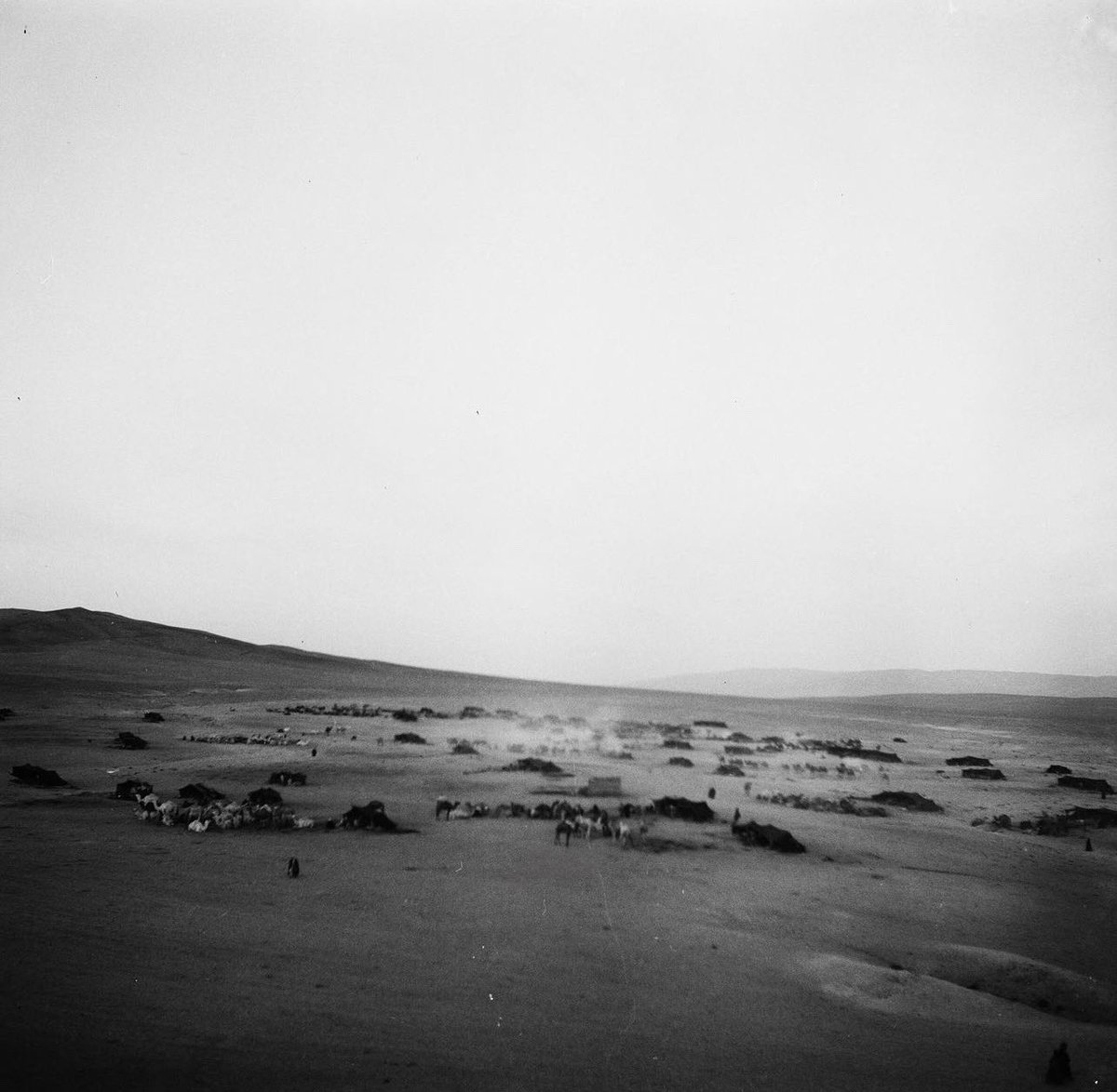 0a_rf's tweet image. 3- صور لمضارب #الرولة من #عنزة ولأول مرة تنشر 

تصویر جبرایل جبور / 1950-1961