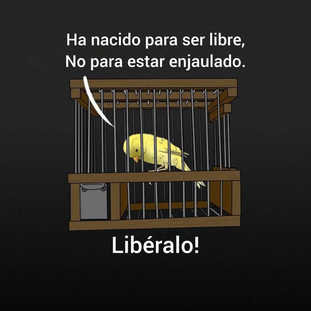 DIOS Une a Sus Hijos tweet media