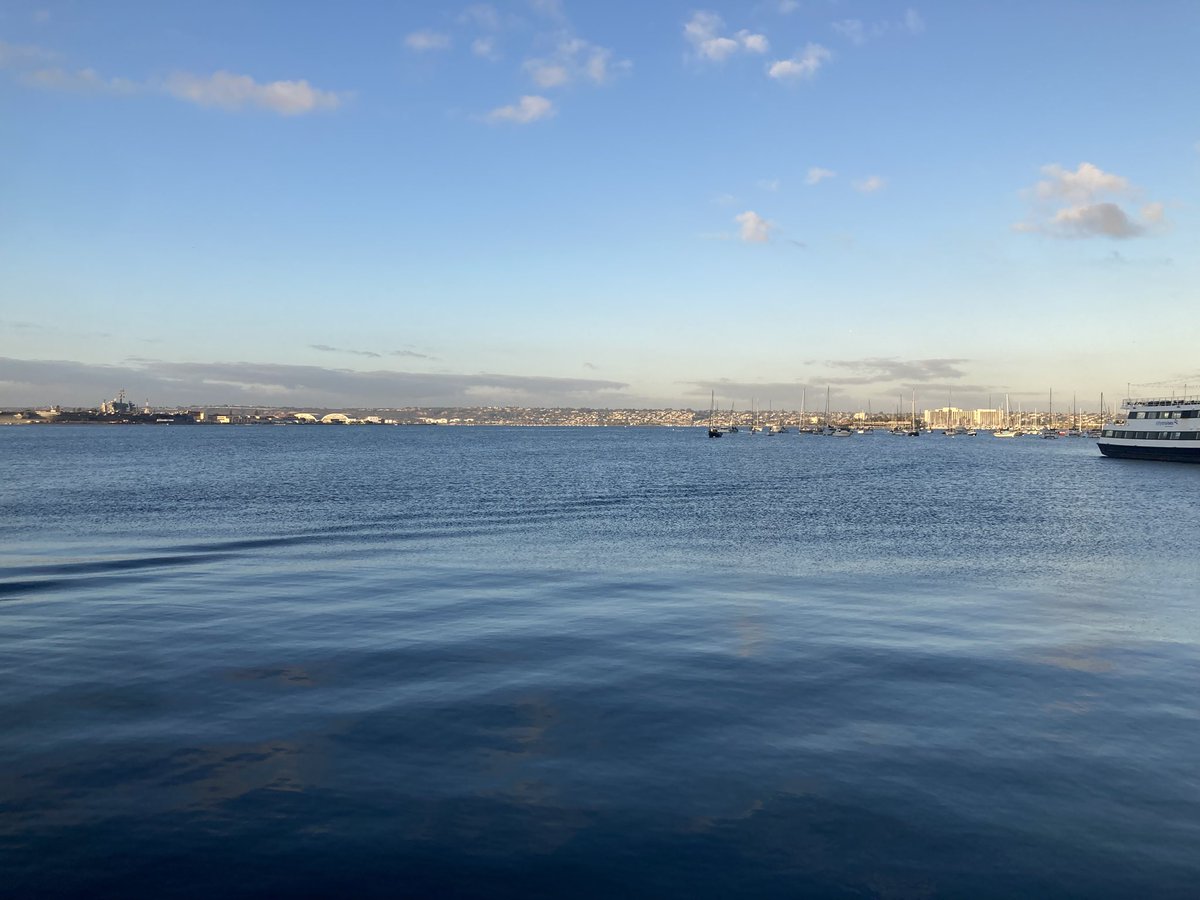 Good morning morning #TLM24! Another beautiful morning in San Diego. Excited for another big day of liver research! It’s my poster presentation today! Come say hi at poster 4322 to talk about CD8 T cells hanging out inside cholangiocytes in PBC! <a href="/AASLDtweets/">AASLD</a> <a href="/AASLDFoundation/">AASLD Foundation</a> ❤️🔬