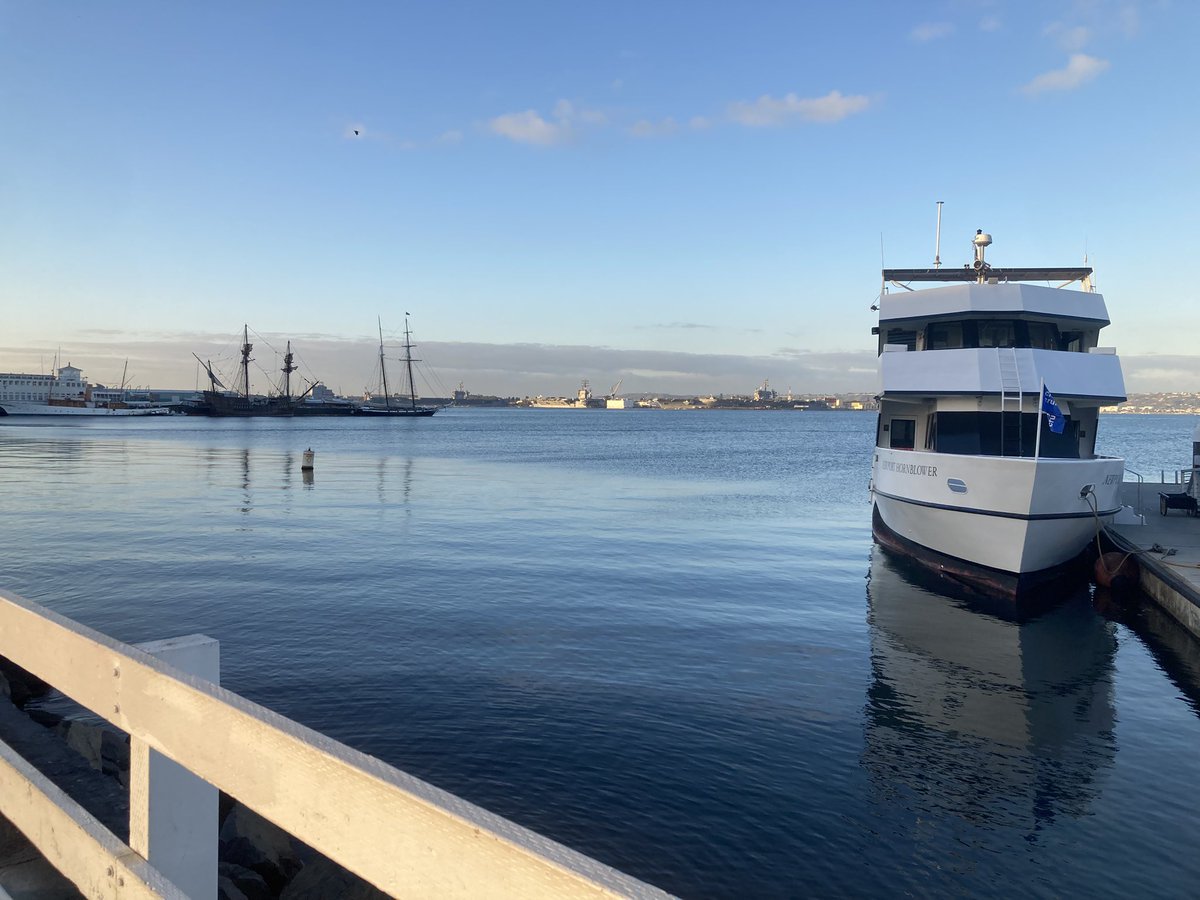 Dr Scott P Davies tweet media