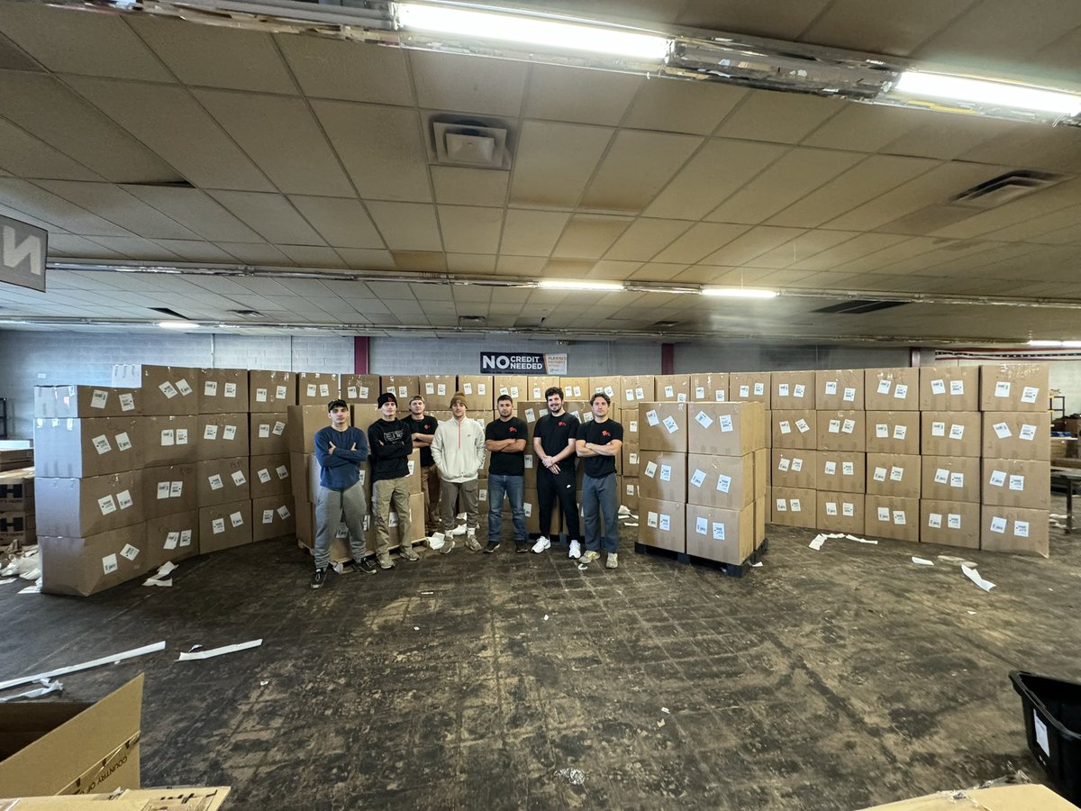 King of the Jungle 🦁