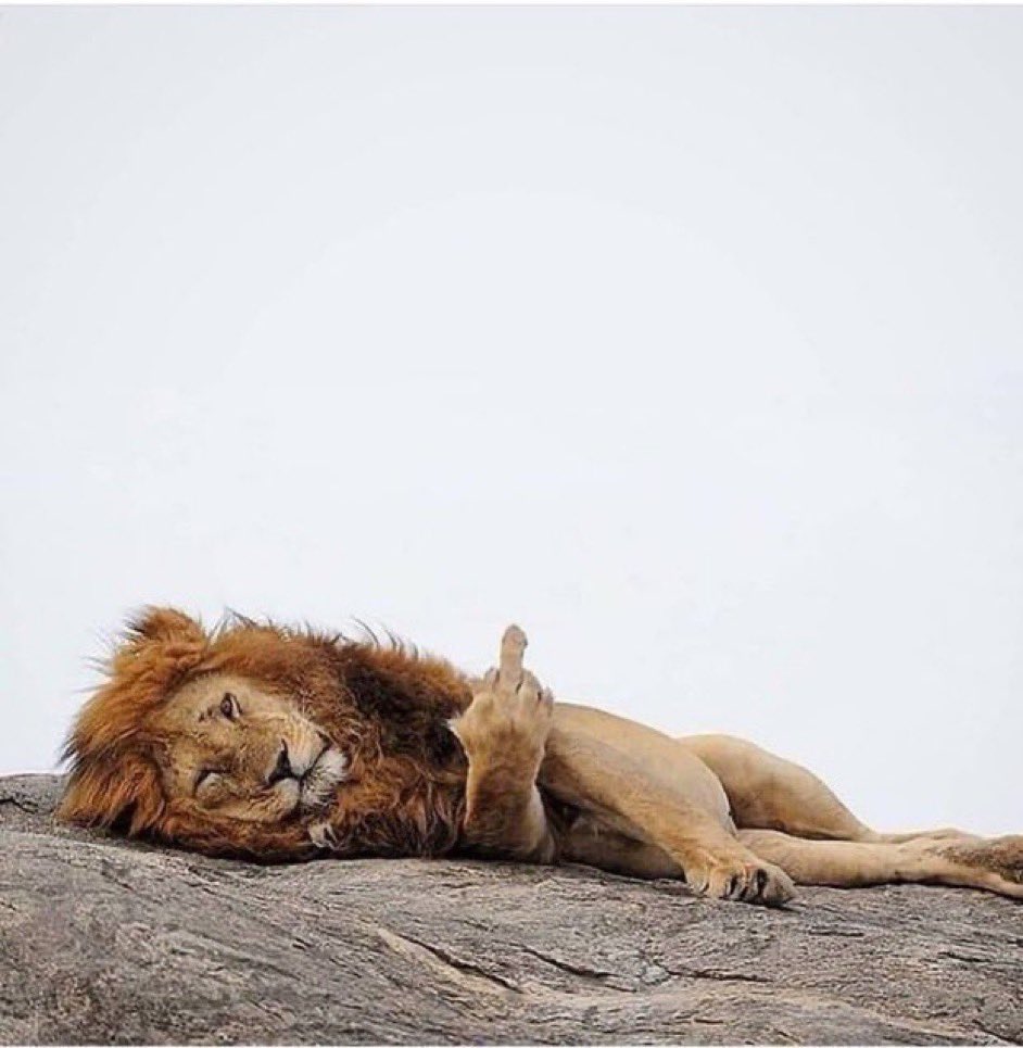 HA1L2MI's tweet image. “But they are running up the score”    😂😂😂😂