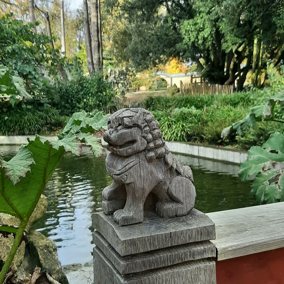 PascalBudor's tweet image. Jardin chinois dans le parc de Maurepas 
😎🌲🌳⛩ #rennes