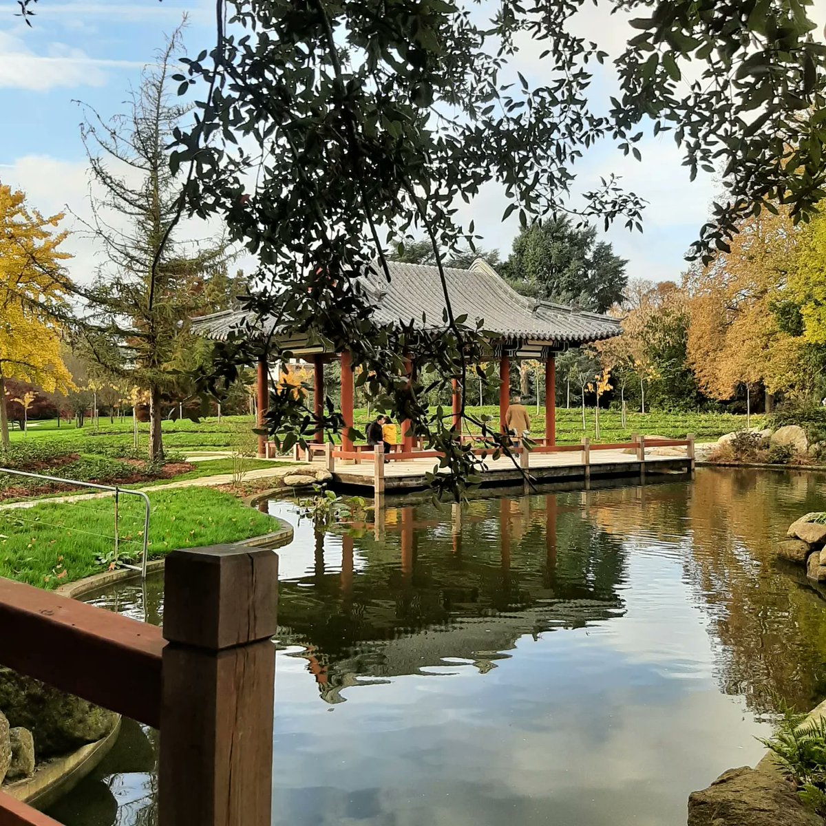 PascalBudor's tweet image. Jardin chinois dans le parc de Maurepas 
😎🌲🌳⛩ #rennes
