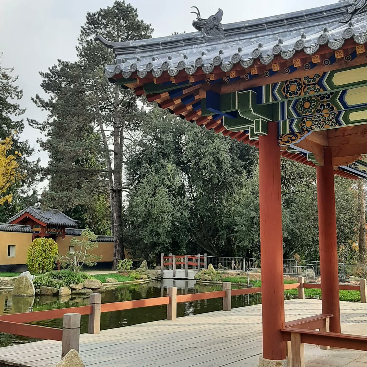 PascalBudor's tweet image. Jardin chinois dans le parc de Maurepas 
😎🌲🌳⛩ #rennes
