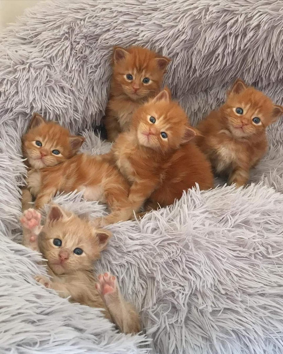 I know i'm not going to get a kiss 💋 cos I’m not pretty 🥺🥺